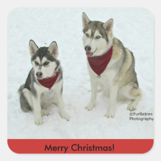 stickers de Noël Husky Sibérien