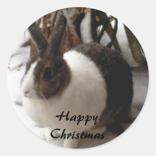 stickers de noël lapin (Devant)