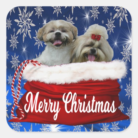 Stickers de Noël Shih tzu (Devant)
