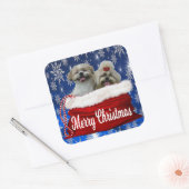 Stickers de Noël Shih tzu (Enveloppe)