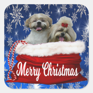 Stickers de Noël Shih tzu