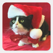 Stickers de Noël Tuxedo Cat (Devant)