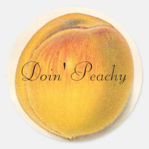 Stickers de pêche vintages