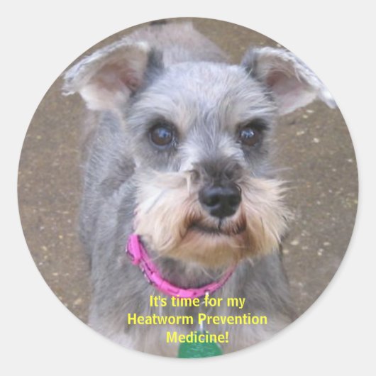 Stickers de rappel de la médecine des vers cardiaq (Devant)