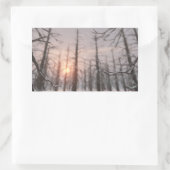 Stickers de rêve d'une nuit d'hiver (Sac)