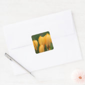 stickers de scellants à enveloppe Spring Crocus (Enveloppe)
