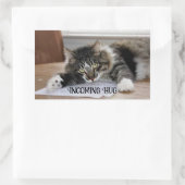 Stickers de serpentins entrants de chats musicaux (Sac)