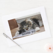 Stickers de serpentins entrants de chats musicaux (Enveloppe)