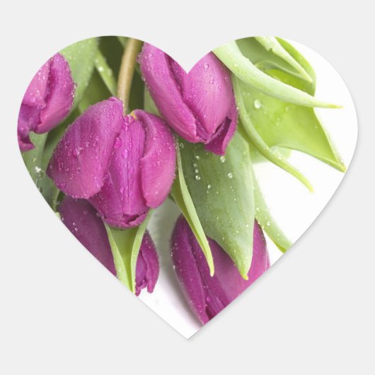 STICKERS DE VÊTEMENTS À TULIP PURPLE (Devant)