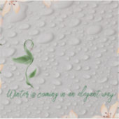 stickers de vinyle (Devant)