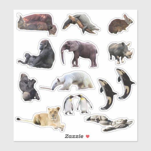 Stickers de vinyle coupé à la baise sauvage (Feuille)