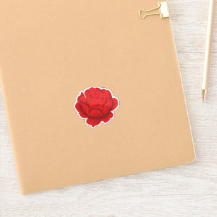 Stickers de vinyle pour verre. Murs. Cadeaux. Déco