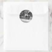 Stickers de vis (Sac)