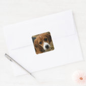 Stickers de voeux de Chien Chien Chien Beagle mign (Enveloppe)