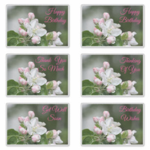 Stickers Décoratifs Pour Toutes Les Occasions