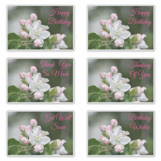 Stickers Décoratifs Pour Toutes Les Occasions (Devant)