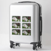 Stickers Décoratifs Pour Toutes Les Occasions (Sur valise)
