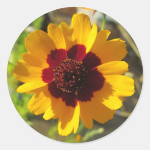 Stickers - Deken Bloem