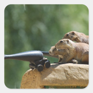 Stickers des soldats des chiens des Prairies