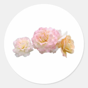 Stickers Design Rose élégant