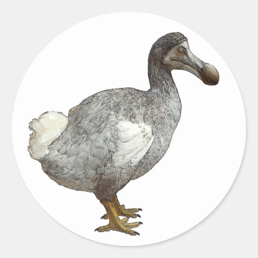 Stickers Dodo Bird (Devant)