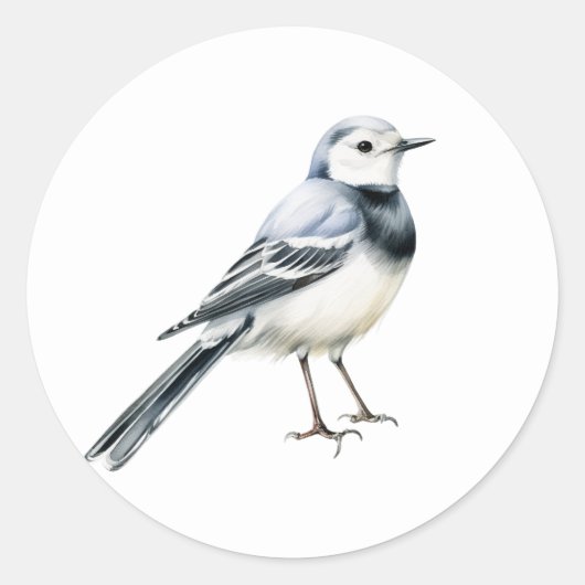 Stickers d'oiseaux en queue blanche (Devant)