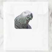 Stickers d'Oiseaux Gris Africain Parrot Lumineux (Sac)