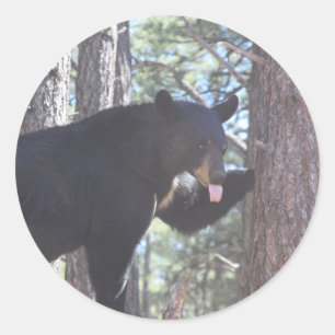 Stickers d'ours noir