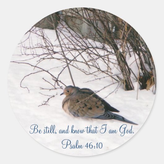 Stickers Dove in the Snow Scripture (Devant)