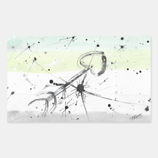 Stickers Drapeau Aromanttique (Aro) TROS (Devant)