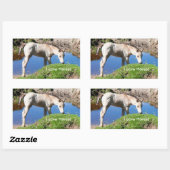 Stickers Dun poulain cheval (Feuille)