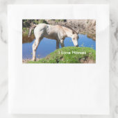 Stickers Dun poulain cheval (Sac)