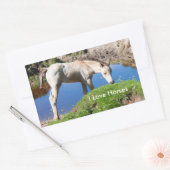 Stickers Dun poulain cheval (Enveloppe)