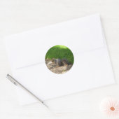 Stickers écureuil #3 (Enveloppe)