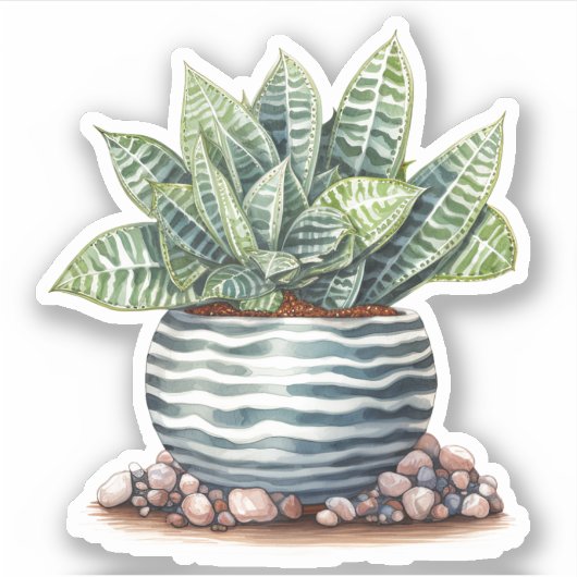 Stickers En Céramique Pot Vinyl Succulent (Devant)