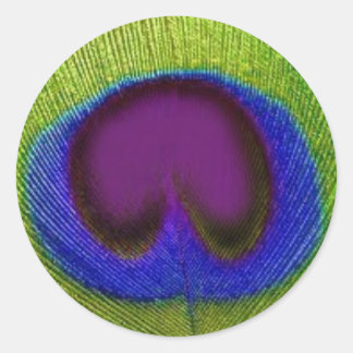 Stickers en plumes bleu violet vert / Sceau
