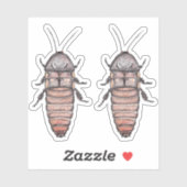 Stickers en vinyle de cafard baisant (Feuille)