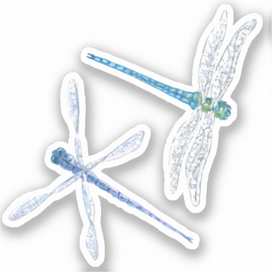 Stickers en vinyle de libellule (Recto)