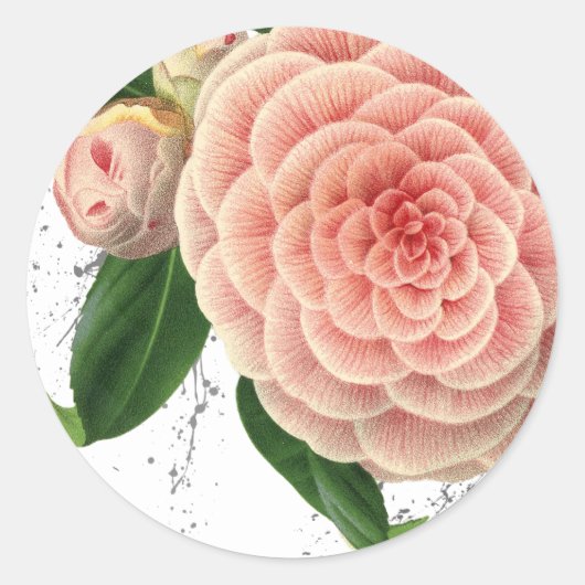 Stickers Enveloppe Camellia rose (Devant)