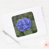 Stickers Enveloppe mariage Blue Hydrangea Flower (Enveloppe)