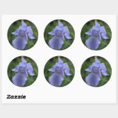 Stickers Enveloppe mariage Jolie Fleur Iris Bleu (Feuille)
