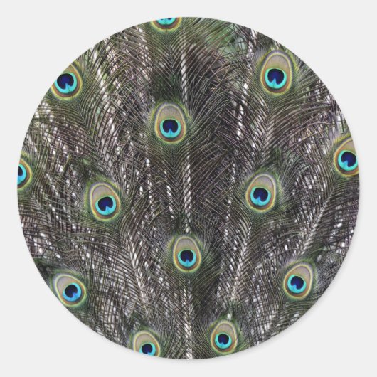 Stickers Enveloppe Plumes Peacock (Devant)