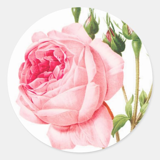 Stickers Enveloppe rose (Devant)