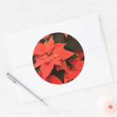 Stickers Enveloppe Rouge Poinsettia pour Noël (Enveloppe)