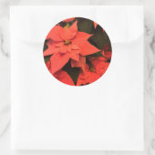 Stickers Enveloppe Rouge Poinsettia pour Noël (Sac)