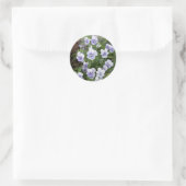 Stickers Enveloppe Stickers Pansy Violet (Sac)