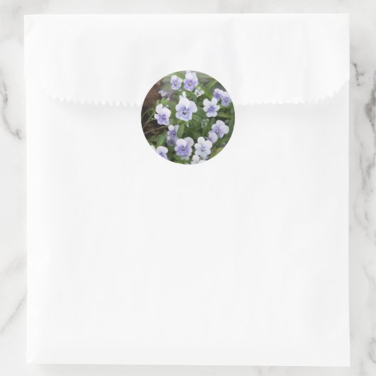 Stickers Enveloppe Stickers Pansy Violet (Sac)