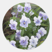 Stickers Enveloppe Stickers Pansy Violet (Devant)