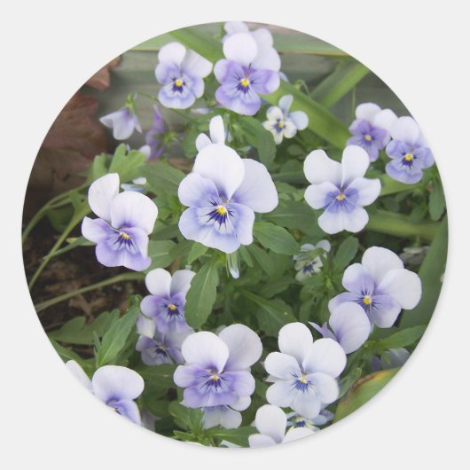 Stickers Enveloppe Stickers Pansy Violet (Devant)