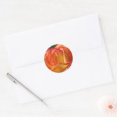 STICKERS ET PHOQUES DE MARIAGE ROSES PEACH (orange (Enveloppe)